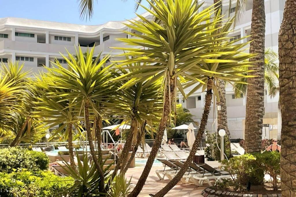 Appartement Dreams In Playa Del Ingles